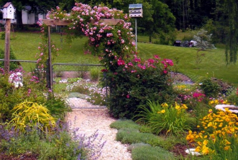 Backyard Landscaping Ideas Chain Link Fence PDF